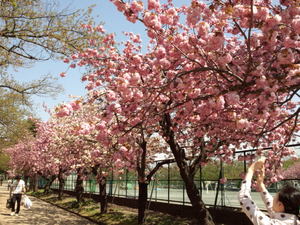 130429_132110.jpg