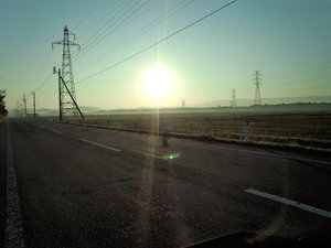 1459982_525739130850720_2076603456_n.jpg