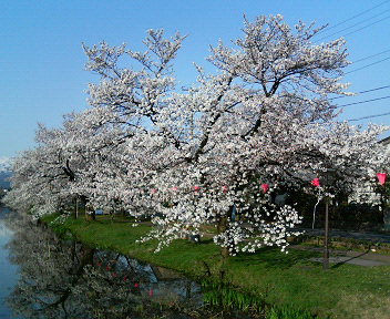 20050415-2.jpg