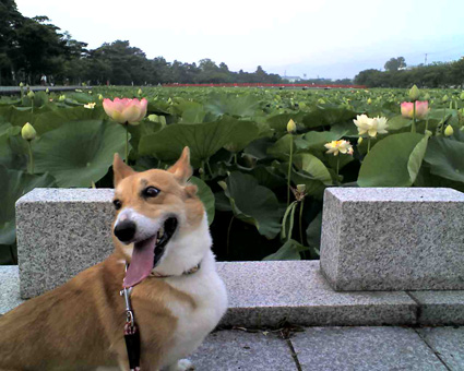 2008070601.jpg
