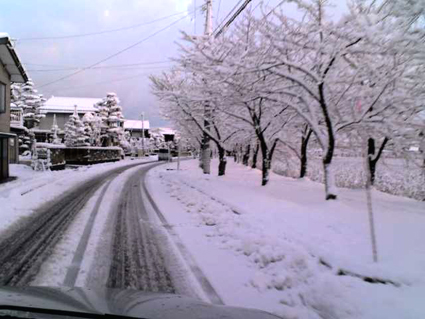 2009011302.jpg