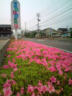 20110605111204.jpg