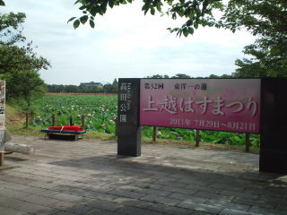 20110807085412.jpg