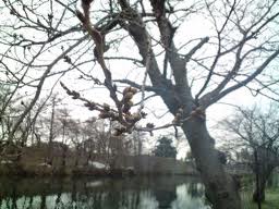 20120401103344.jpg