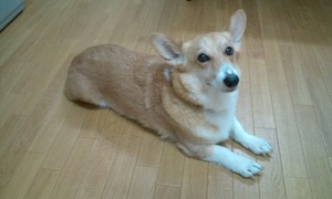 20120906193821.jpg