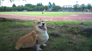 20120909094419.jpg