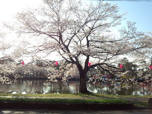 2013041103.jpg